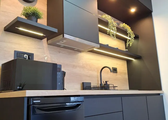 Apartman President Kop App Katarina Ii Free Wellnes&spa Kopaonik